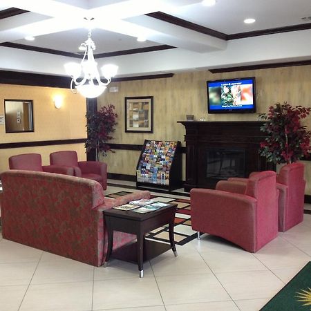 La Quinta Inn And Suites Joshua 外观 照片